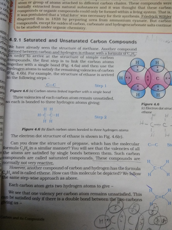 differentiate-between-saturated-and-unsaturated-hydrocarbons-cbse