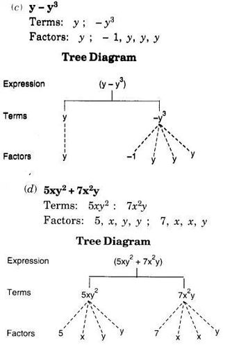 a3a-understanding-and-using-the-concepts-of-expressions-equations