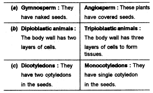 difference between angiosperm and gymnosperm