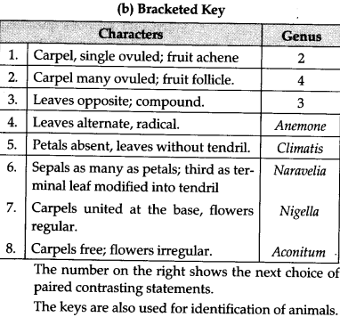 keys taxonomy example illustrate role biology