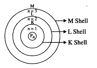 A Describe The Main Features Of Bohr S Model Of An Atom Draw A Neat And Labelled Diagram Of Energy Levels B Which Of The Following Pairs Are Isotopes And Which Are Isobars