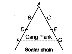 Explain in brief 'Gang Plank' introduced by Fayol - CBSE Class 12 Business  Studies - Learn CBSE Forum