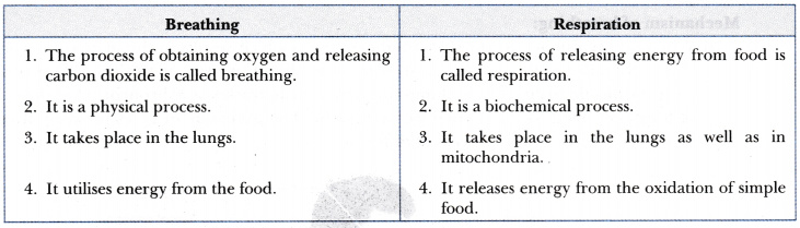 distinguish-between-breathing-and-respiration-cbse-class-10-science