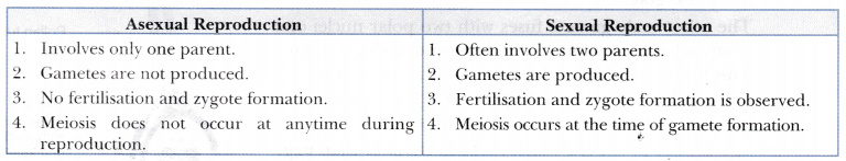 Write Two Points Of Difference Between Asexual And Sexual Types Of 