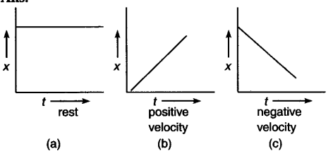 Negative Velocity Graph