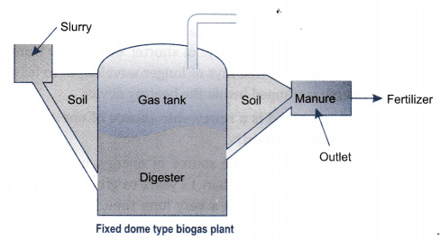 What Is Biogas Describe The Working Of A Biogas Plant With The Help Of A Labelled Diagram S Cbse Class 10 Science Learn Cbse Forum