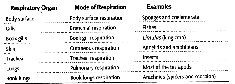 Write an account on modes of respiration in animals with examples - CBSE  Class 11 Biology - Learn CBSE Forum