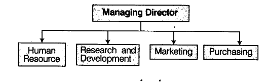 what-is-meant-by-functional-structure-of-an-organisation-cbse-class