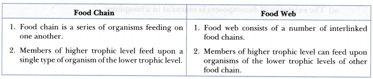 Difference Between Food Chain And Food Web Class 10 In Tabular Form