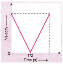 Draw A Velocity Versus Time Graph Of A Stone Thrown Vertically
