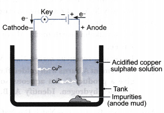 What Is Meant By Refining Of Metals Describe The Electrolytic Refining Of Copper With A Neat Labelled Diagram Cbse Class 10 Science Learn Cbse Forum