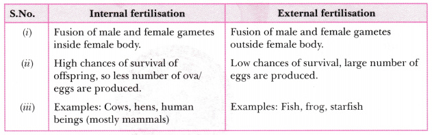 what-is-external-fertilization-and-internal-fertilization-cloudshareinfo