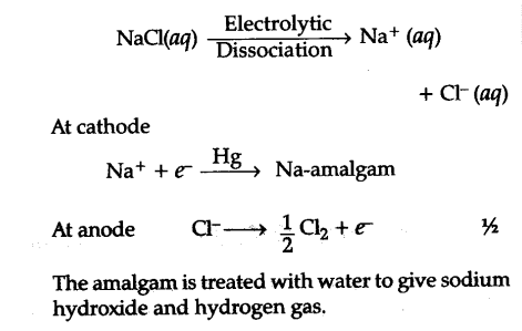 sodium hydroxide carbonate iii chloride proceed prepare starting ii metal would na solution cbse process class amalgam