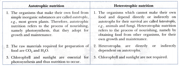 Differentiate Between Autotrophic And Heterotrophic ...