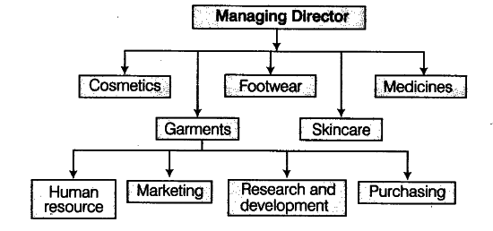 what-is-meant-by-divisional-structure-of-an-organisation-cbse-class