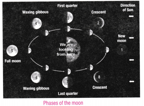 Lecture 8: The Phases of the Moon