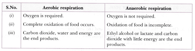 difference between aerobic and anaerobic respiration