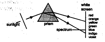 state the cause of dispersion of white light by glass prism