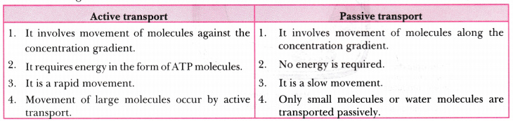 what-is-active-transport-differentiate-between-active-and-passive-transport-cbse-class-9