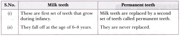 distinguish-between-the-following-milk-teeth-and-permanent-teeth