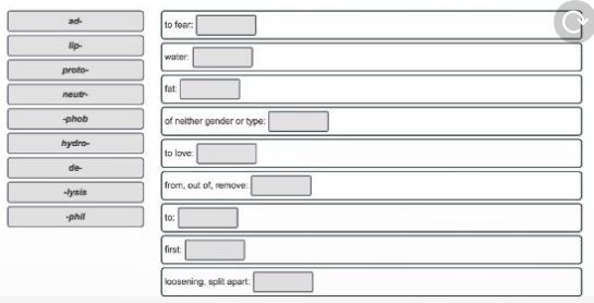 Can You Match These Prefixes Suffixes And Word Roots With Their Definitions Home Work Help Learn Cbse Forum