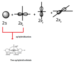 Please Explain Sp Hybridisation In C2h2 Ethyne Cbse Class 11 Learn Cbse Forum