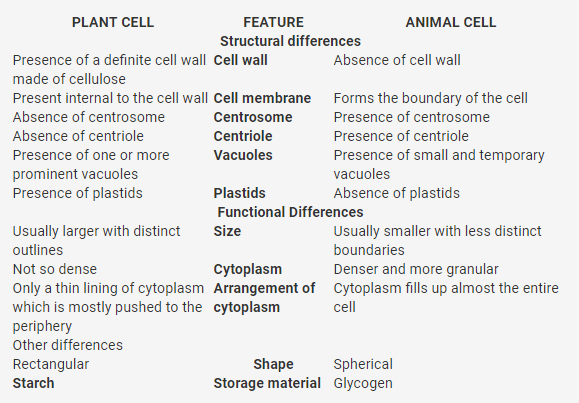 Difference between plant cell and animal cell - Home Work Help - Learn CBSE  Forum