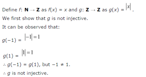 Give Examples Of Two Functions F N N And G Z Z Such That Cbse Class 12 Maths Learn Cbse Forum